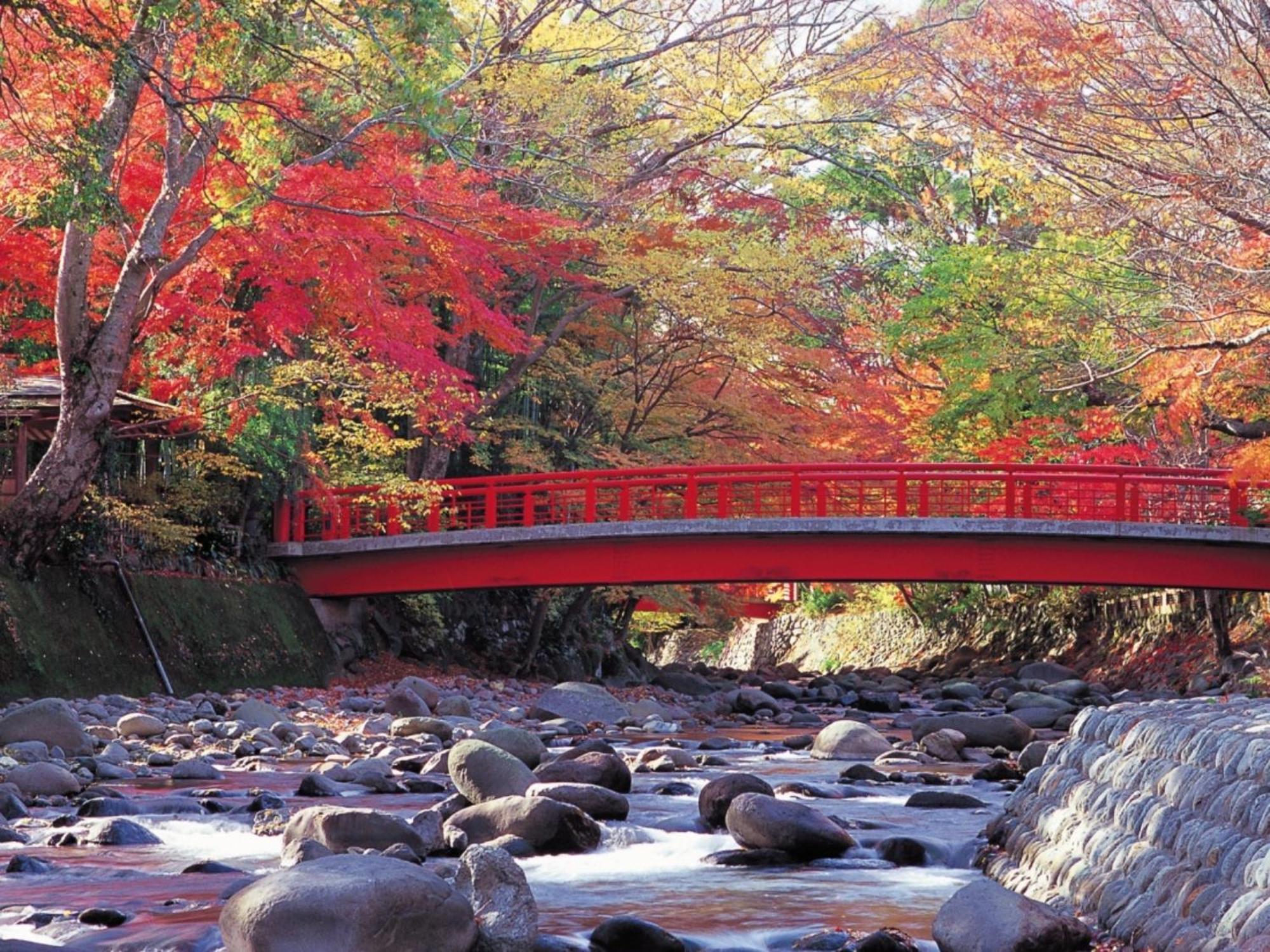 Shuzenji Onsen Hotel Takitei Идзу Экстерьер фото