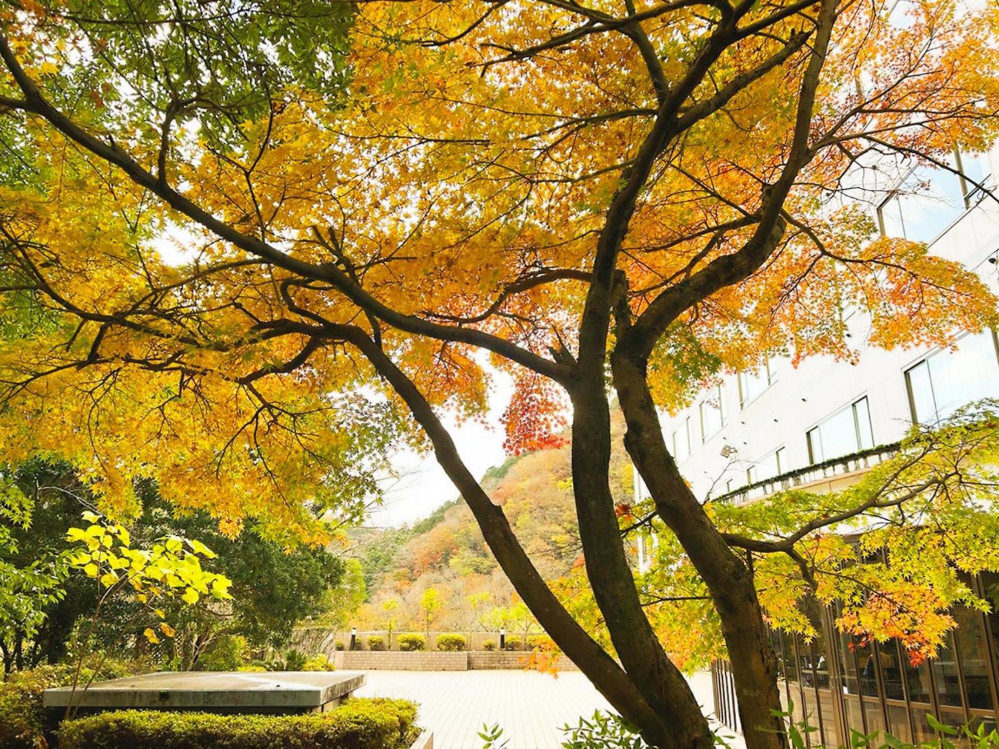 Shuzenji Onsen Hotel Takitei Идзу Экстерьер фото