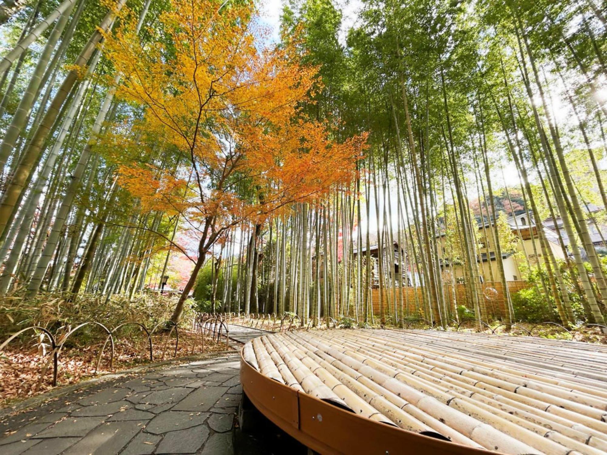 Shuzenji Onsen Hotel Takitei Идзу Экстерьер фото